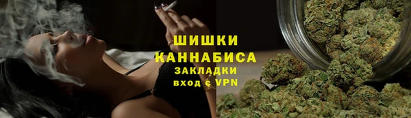 соль ск Богородицк