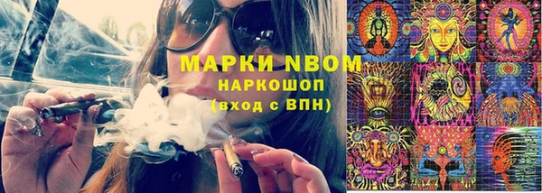 крисы Белокуриха