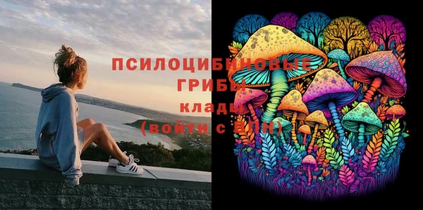 крисы Белокуриха
