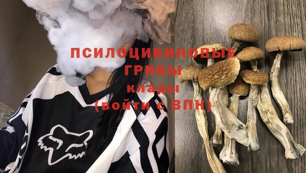 соль ск Богородицк