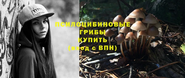 соль ск Богородицк