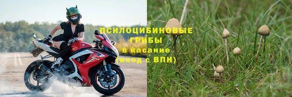 соль ск Богородицк