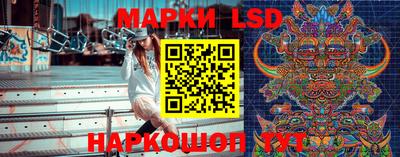 дмт Бийск