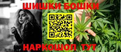 дмт Бийск