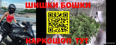 дмт Бийск