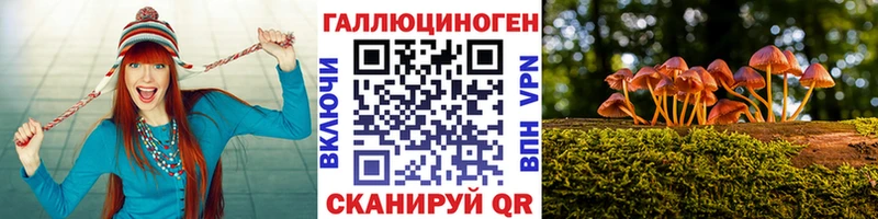 Псилоцибиновые грибы прущие грибы  shop какой сайт  Гулькевичи 