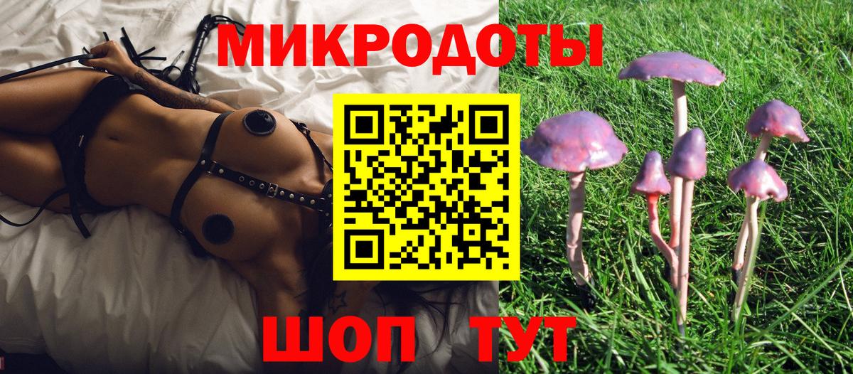Галлюциногенные грибы Psilocybine cubensis  Вход с VPN  где купить наркотик  Гулькевичи 
