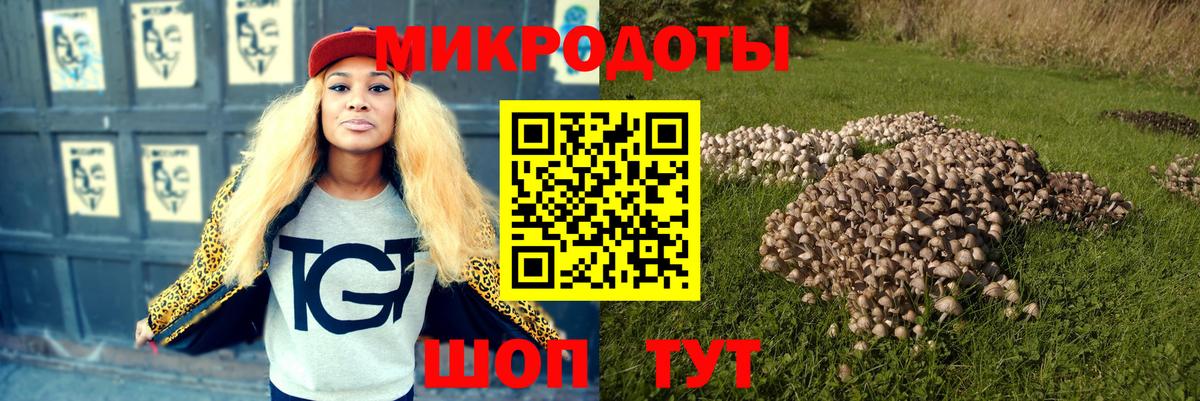 Галлюциногенные грибы Psilocybe  Псилоцибиновые грибы Cubensis  Гулькевичи 