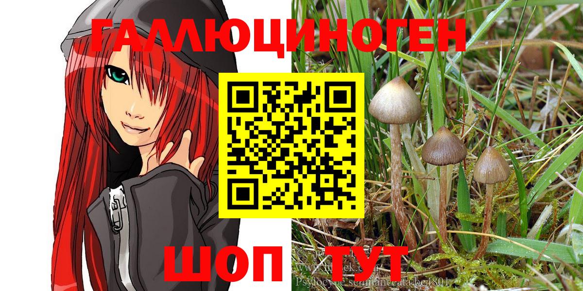 Галлюциногенные грибы ЛСД Гулькевичи